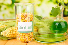 Brunnion biofuel availability