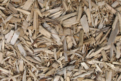biomass boilers Brunnion