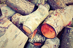 Brunnion wood burning boiler costs